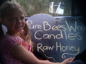 Bee Rescue – Heidi Honey Hurstbridge