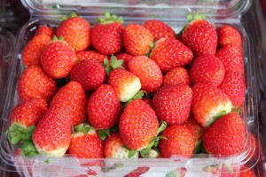Kookaberry Strawberry Farm