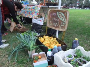 Fitzroy Urban Harvest Food Swap