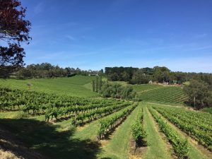 Kellybrook Winery