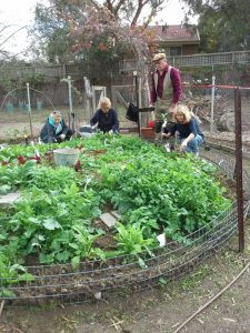 Living & Learning Eltham Community Veggie Garden