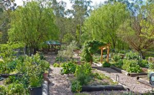 Warrandyte Community Garden