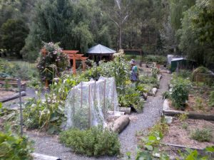 Warrandyte Community Garden