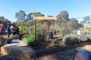 Sustainable Macleod Community Garden