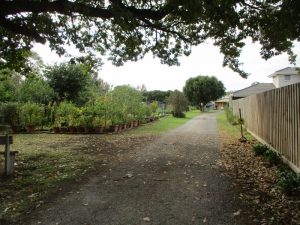 Croydon Community Garden