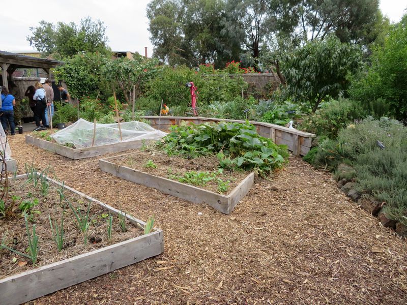 SEEDs Communal Garden | Local Food Connect