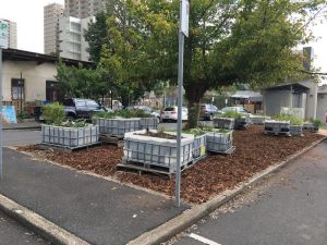 Condell Growers and Sharers Community Garden