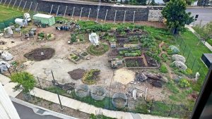 Pentridge Community Garden