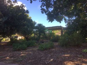 West Brunswick Community Garden and Food Forest