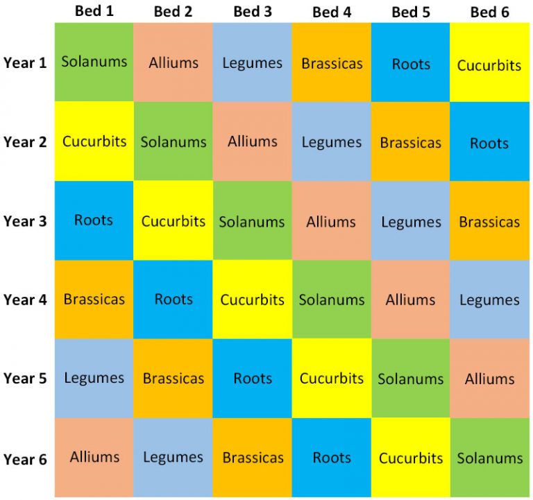 How to resolve the complexities of crop rotation Local Food Connect