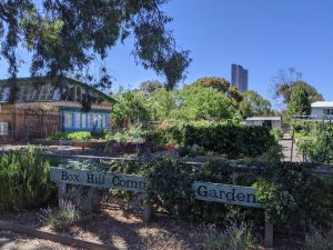 Box Hill Community Gardens