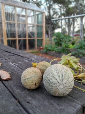 Mernda Seed, Sow & Grow Community Garden Group