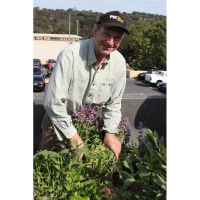 Glenn Mansfield sold silverbeet and seedlings.