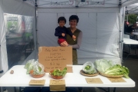Pia Sappl sold biscuits, Tokyo greens, lettuce salad and mustard salad.