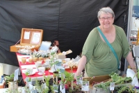 Sandra Macneil sold herbs and seedlings.