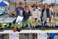 Sustainable Macleod sold seedlings, potted and unpotted plants.