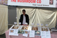 The Mushroom Co